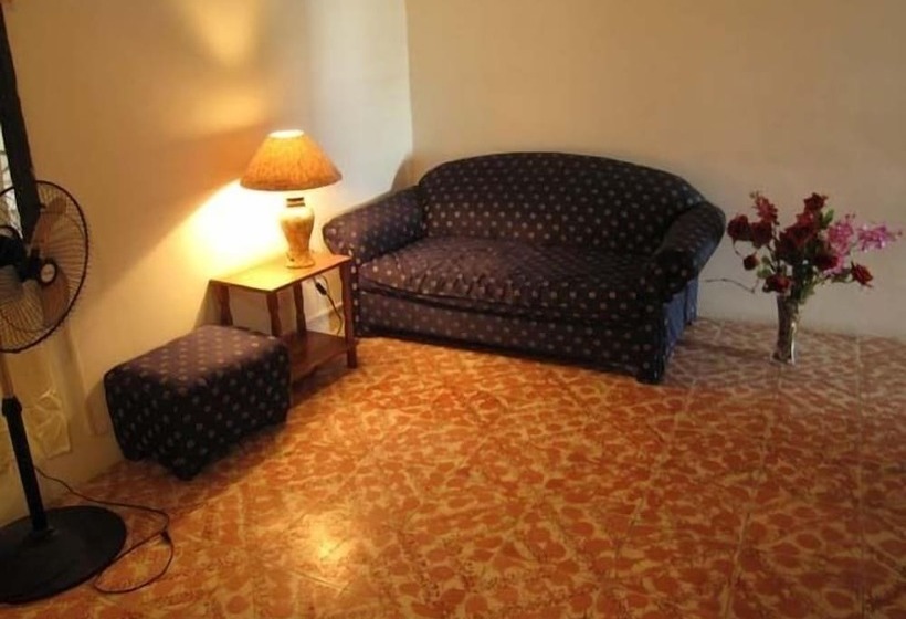 Отель Bachelor Inn