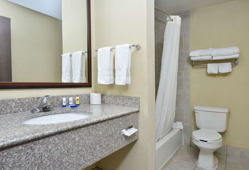 فندق Best Western Plus Burleson Inn & Suites