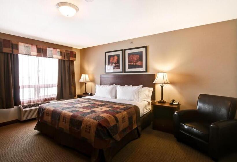 فندق Canalta Camrose