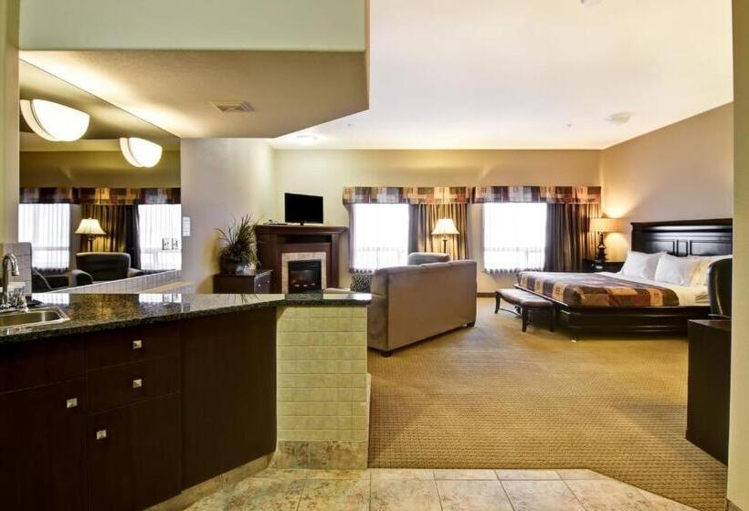 فندق Canalta Camrose