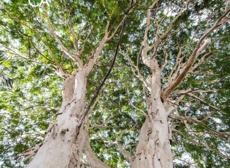 בית מלון כפרי Canto Das Aguas Roteiro De Charme