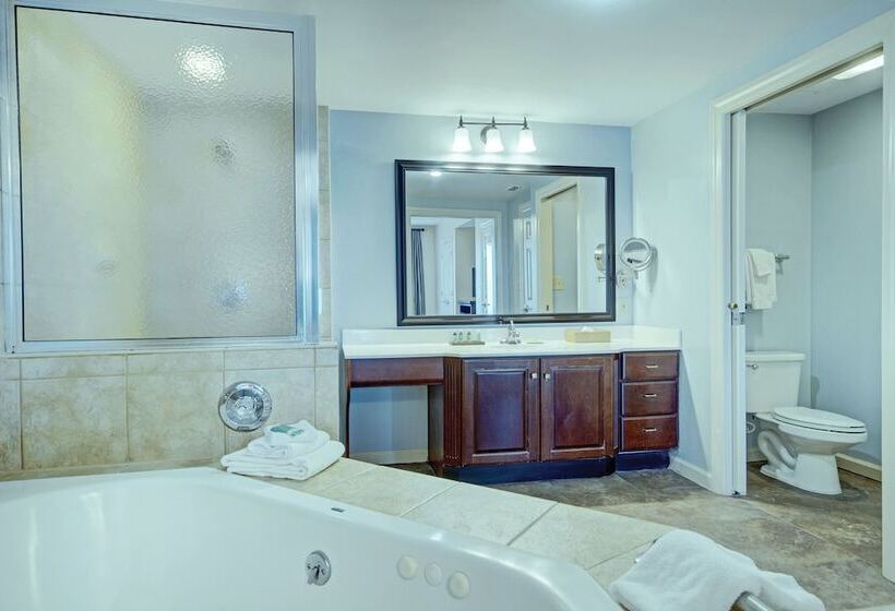 בית מלון כפרי Club Wyndham Old Town Alexandria