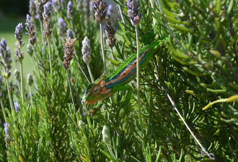 هتل Cultivar Boutique