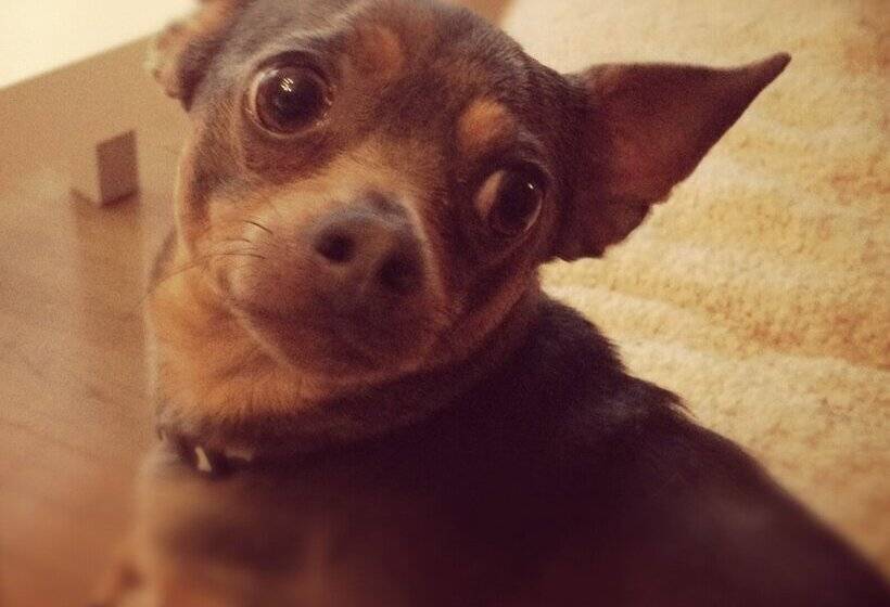 ホテル Days Inn By Wyndham Berthierville