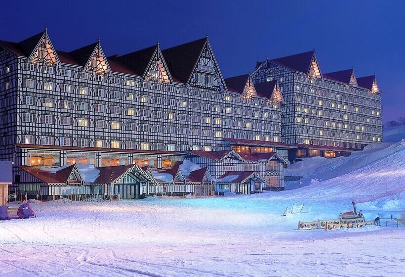 فندق Green Plaza Hakuba