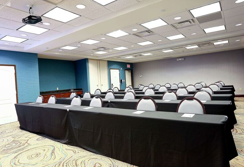 Отель Hampton Inn & Suites Tampawesley Chapel