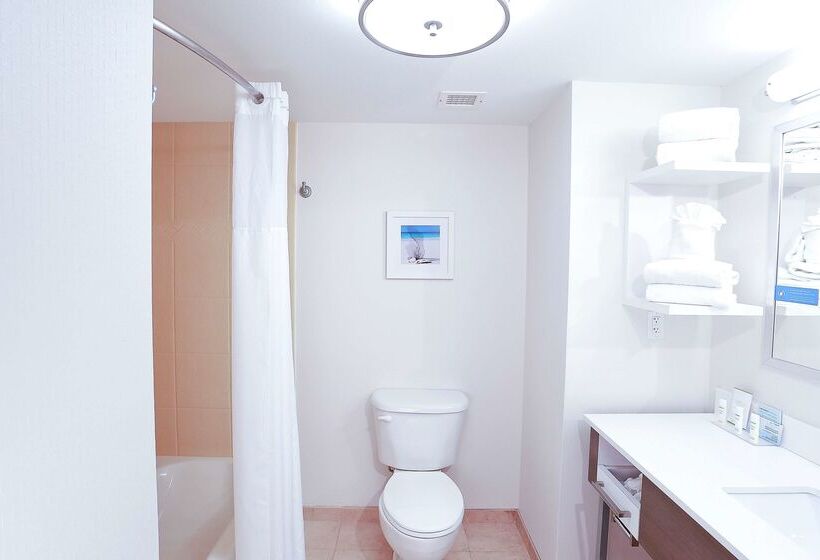 Отель Hampton Inn & Suites Tampawesley Chapel