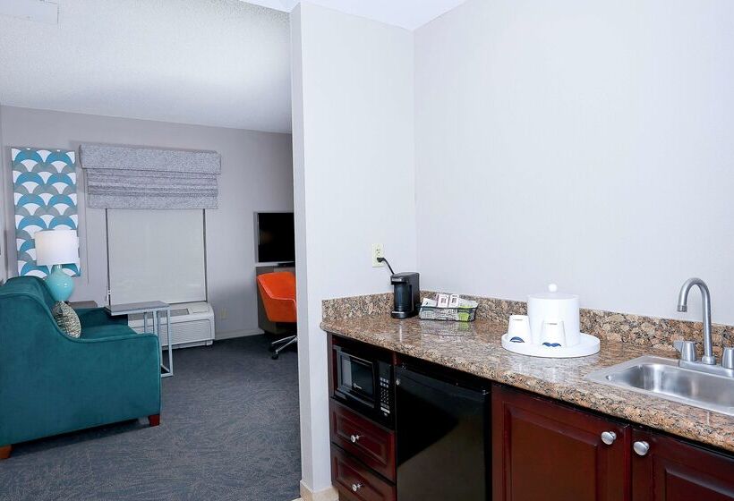 호텔 Hampton Inn & Suites Tampawesley Chapel