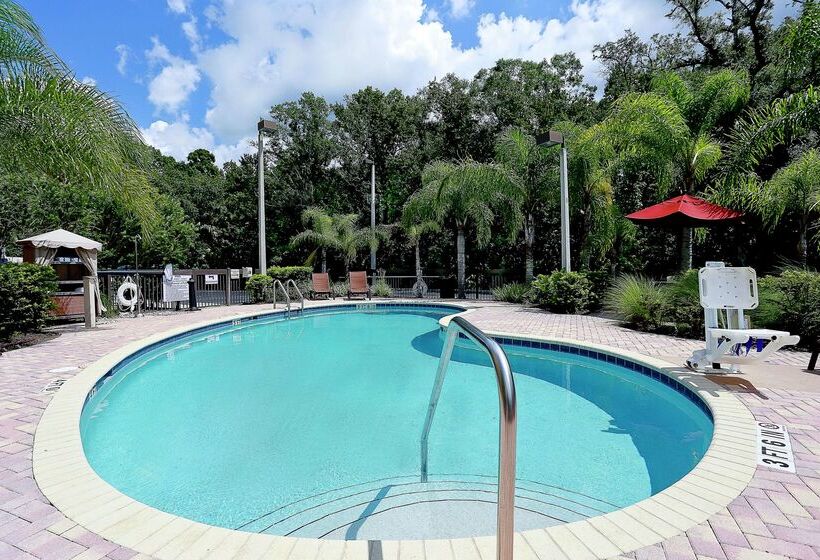 호텔 Hampton Inn & Suites Tampawesley Chapel