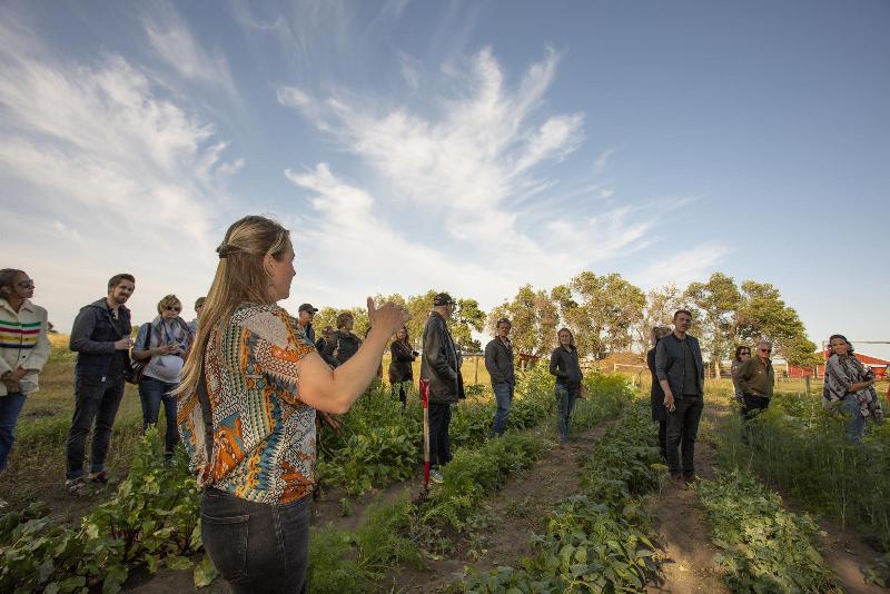 فندق Holiday Inn Saskatoon Downtown, An Ihg