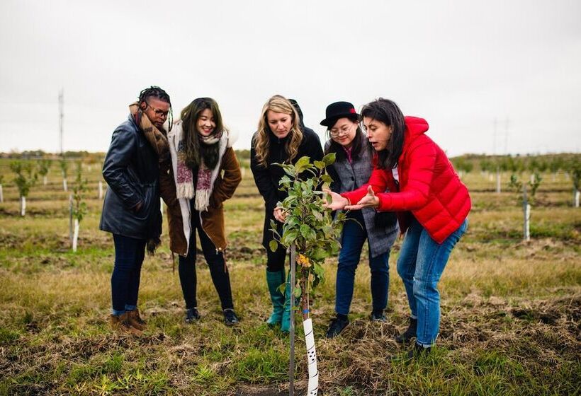 فندق Holiday Inn Saskatoon Downtown, An Ihg