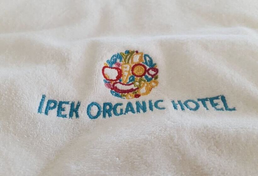 Отель La Boutique Ipek