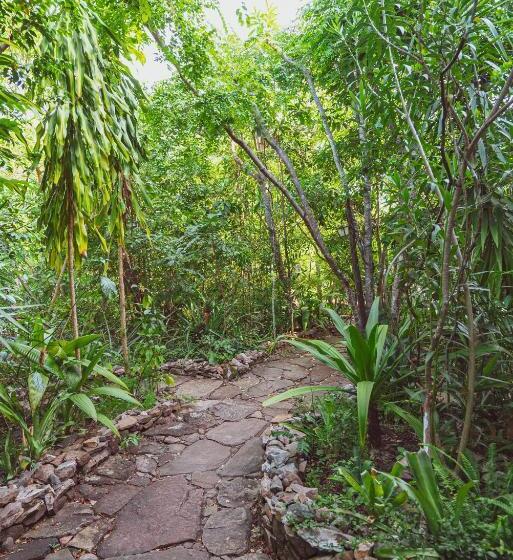 בית מלון כפרי Pousada Alto Do Cajueiro