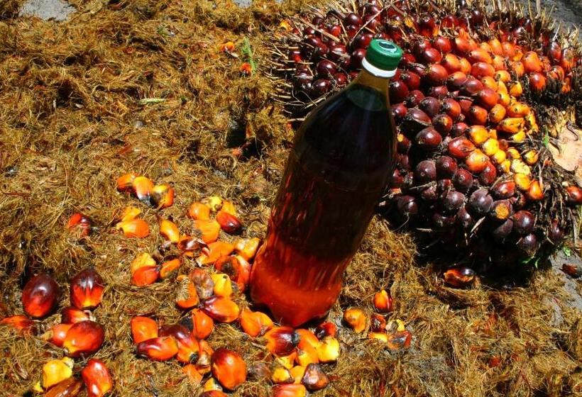 בית מלון כפרי Pousada Lagoa Do Cassange