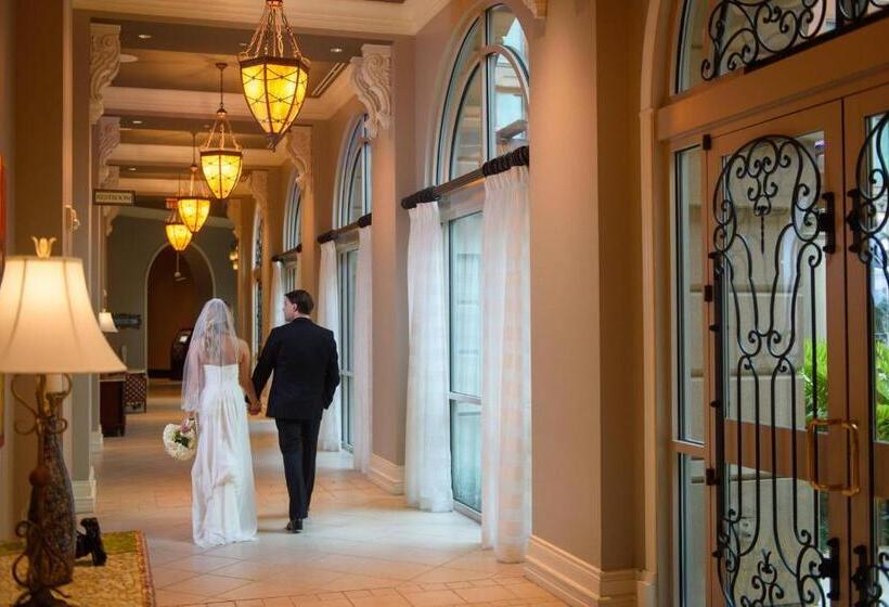 בית מלון כפרי Renaissance Tampa International Plaza