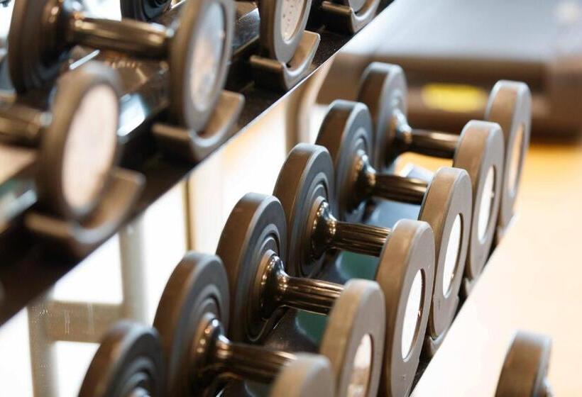 בית מלון כפרי Renaissance Tampa International Plaza