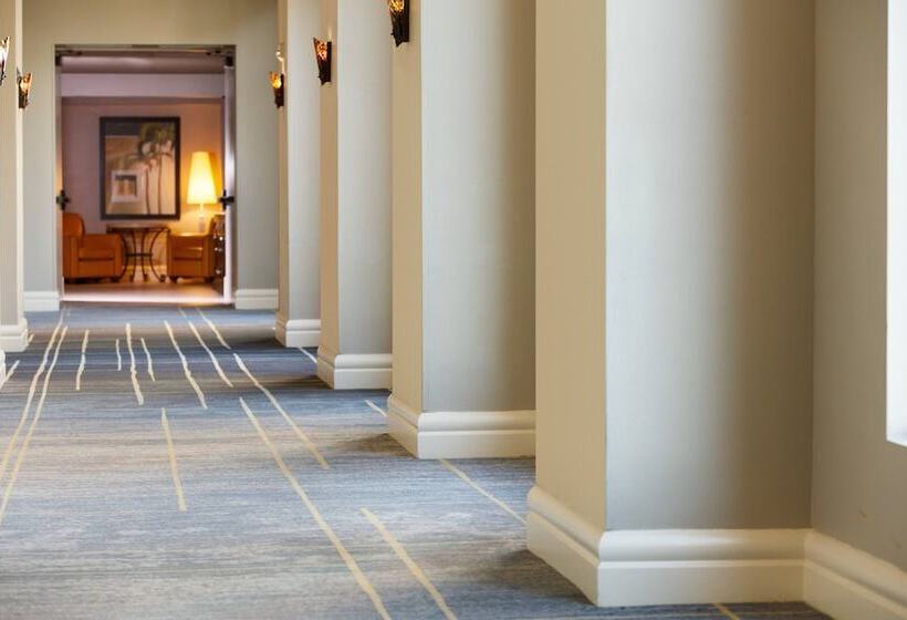 בית מלון כפרי Renaissance Tampa International Plaza