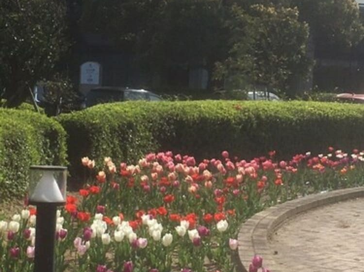 Rihga Royal Hotel Niihama