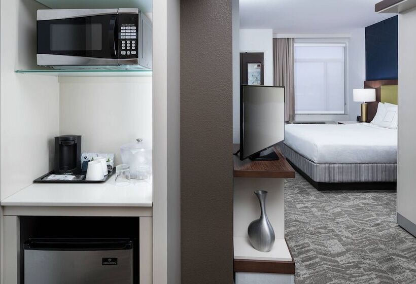 Отель Springhill Suites Alexandria Southwest