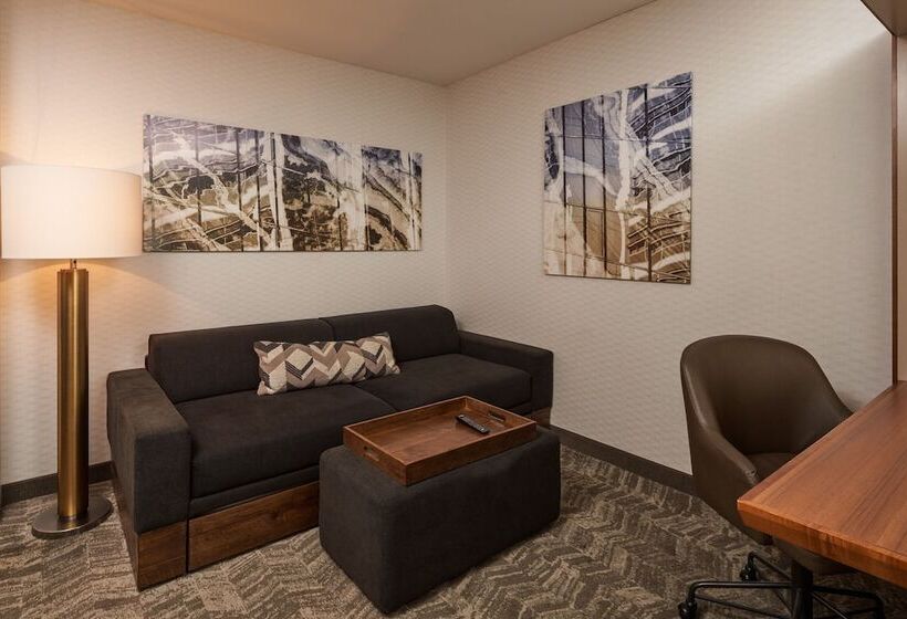 فندق Springhill Suites By Marriott Philadelphia Airport / Ridley Park