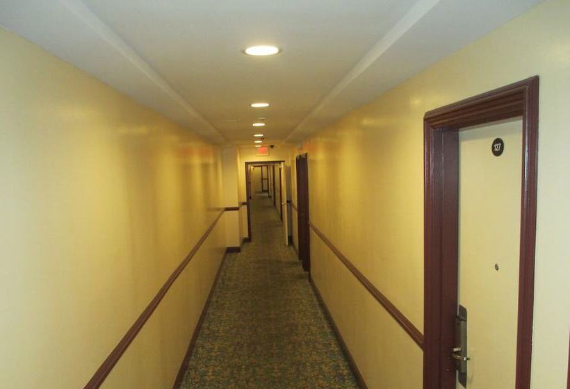 汽车旅馆  Regal Inn Chicago O Hare  Franklin Park