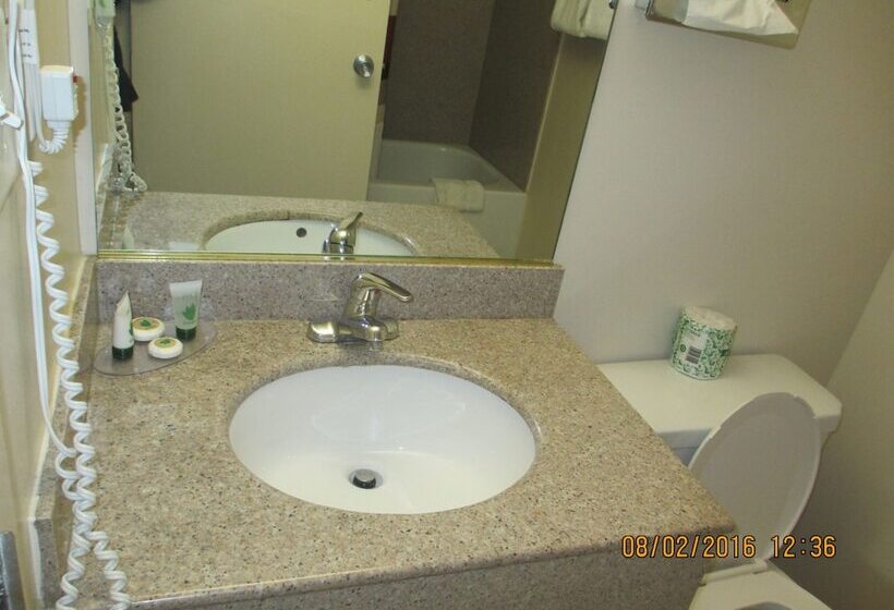 汽车旅馆  Regal Inn Chicago O Hare  Franklin Park