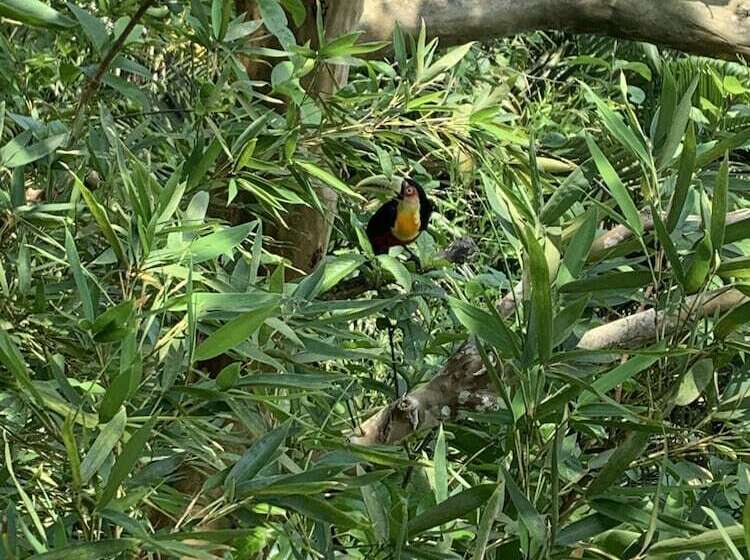 Pousada Encontro Das Ilhas