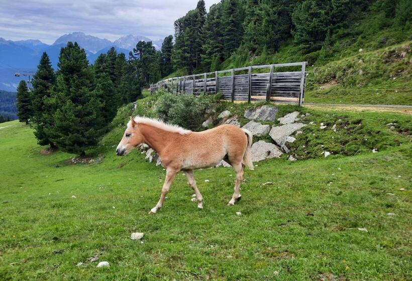 住宿加早餐  Haus Gertraud