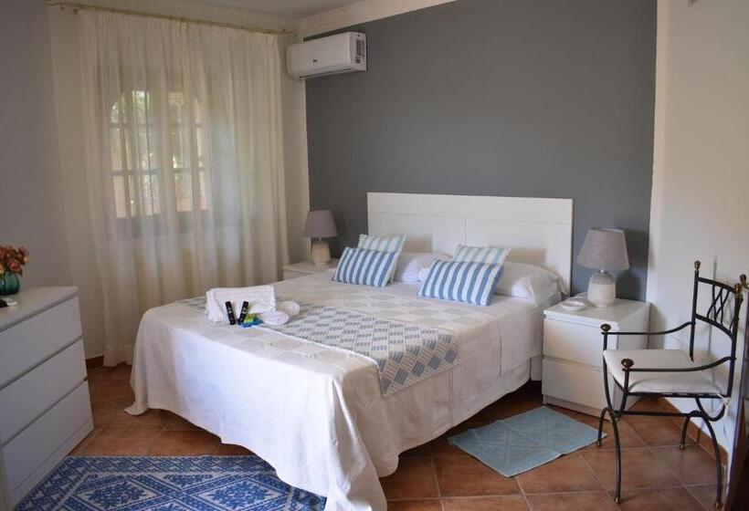 پانسیون Domus Francy