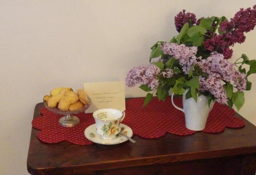 호텔 Albergo & Ristorante Selvatico