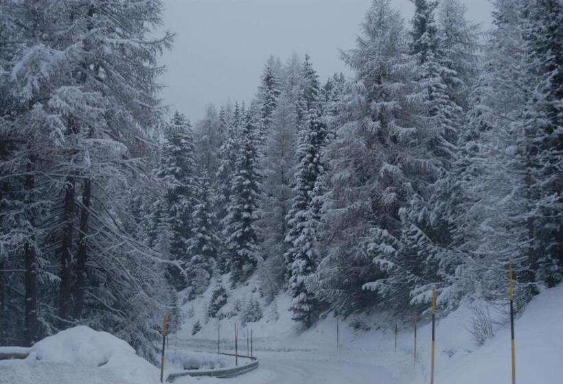 ホテル Bellavista