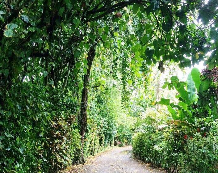 בית מלון כפרי Atlantida Lodge