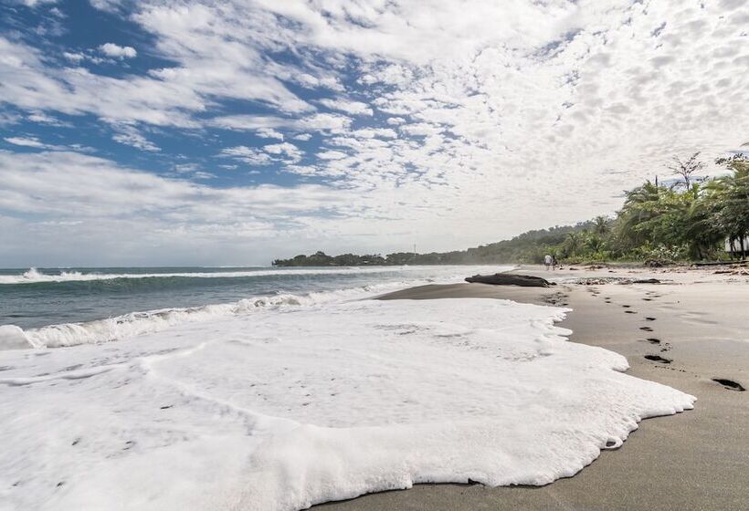 ホテル Atlantida Lodge