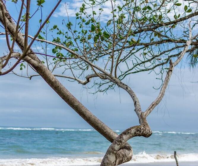 ホテル Atlantida Lodge