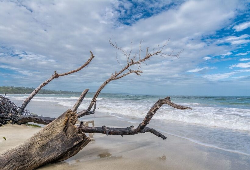 בית מלון כפרי Atlantida Lodge