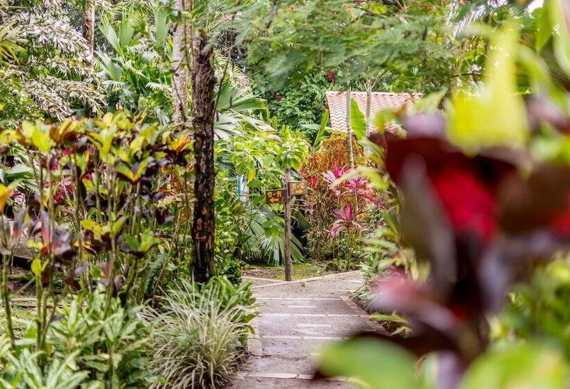 בית מלון כפרי Atlantida Lodge