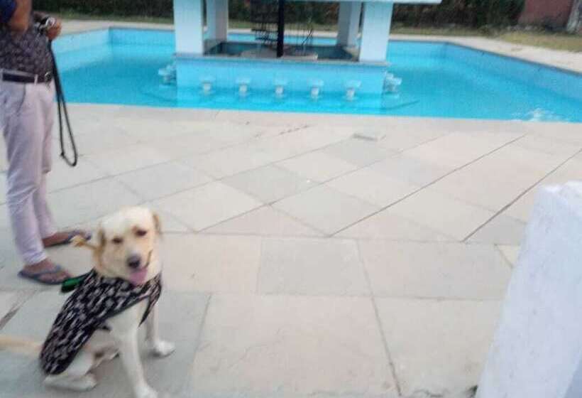 فندق Bassi Fort Palace