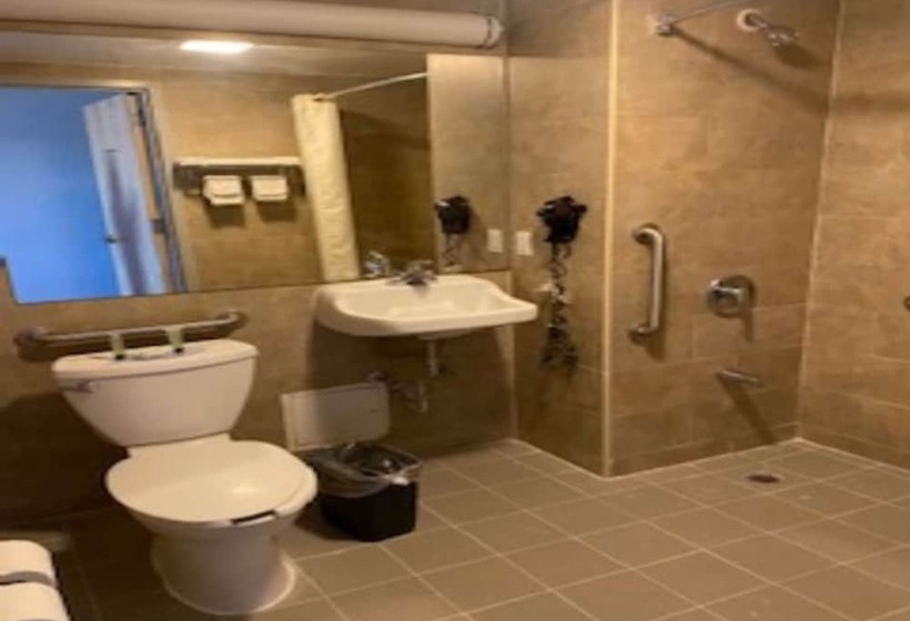 ホテル Blue Bird Inn