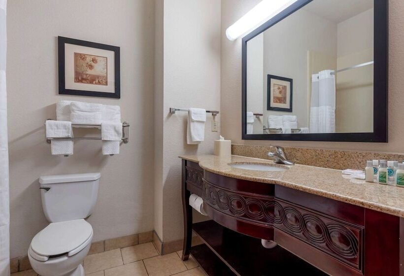 فندق Lake Texoma Inn And Suites To Match Ihg