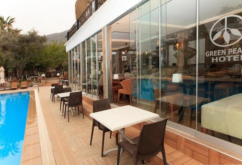 בית מלון כפרי Green Peace