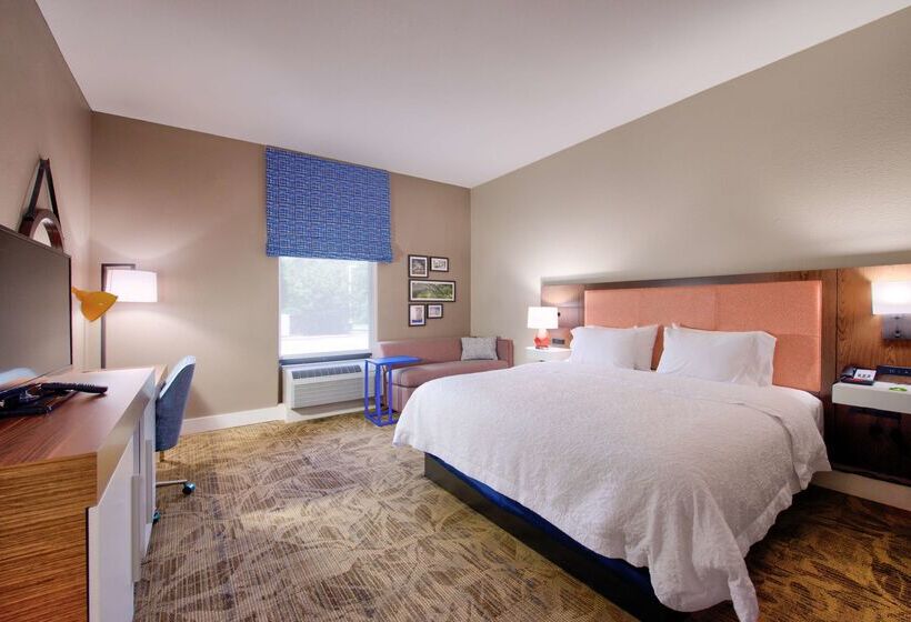 בית מלון כפרי Hampton Inn Baton Rouge  Denham Springs