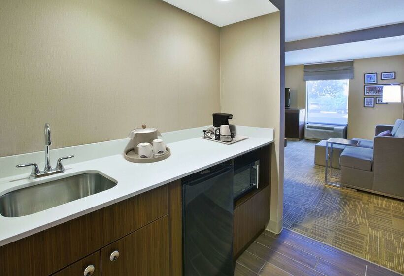 ホテル Hampton Inn Commerce Novi