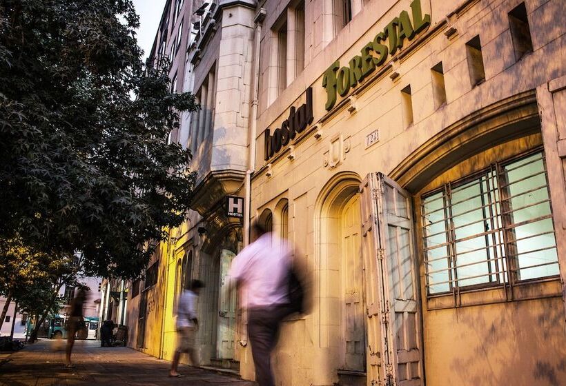 فندق Hostal Forestal