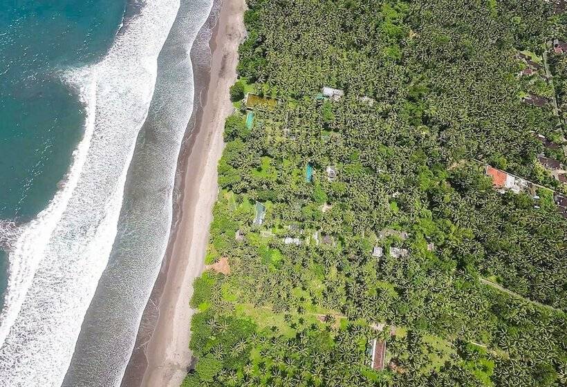 בית מלון כפרי Kelapa Retreat & Spa