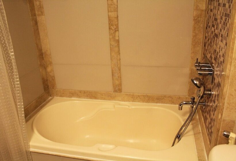 Отель Mayur Residency