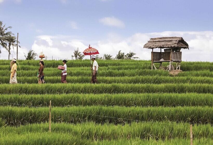 City Of Aventus Hotel Denpasar