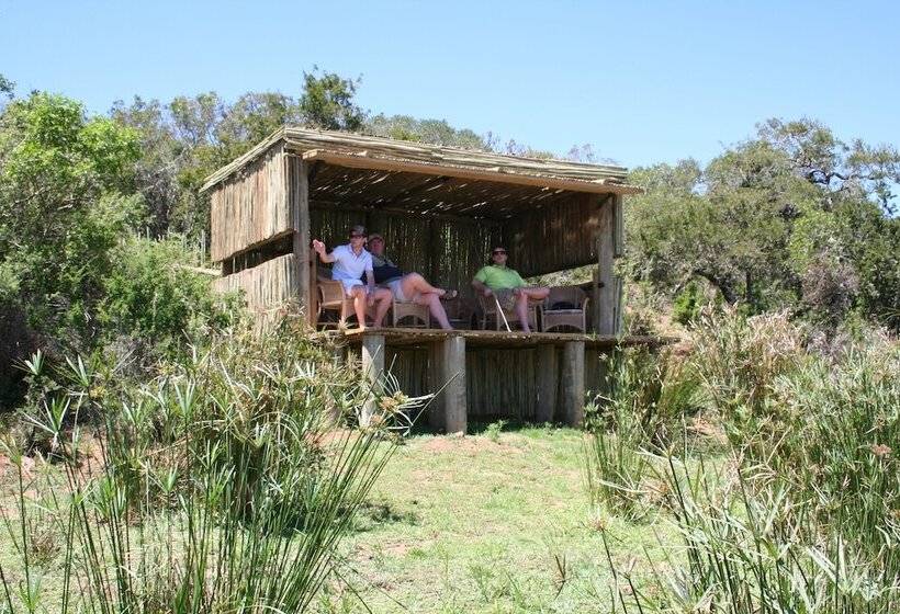 호텔 Pumba Private Game Reserve