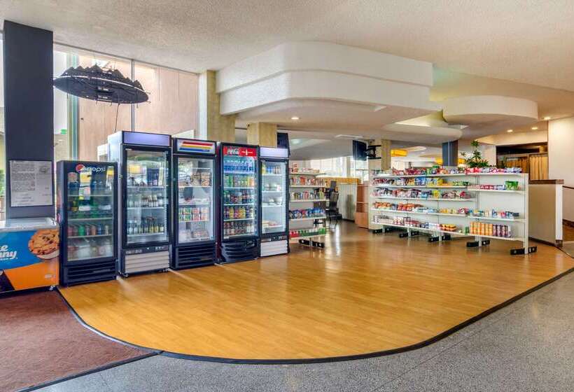 酒店 Budget Inn Denver Downtown