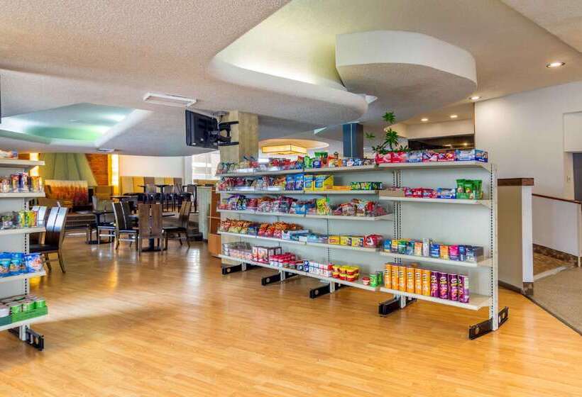 酒店 Budget Inn Denver Downtown