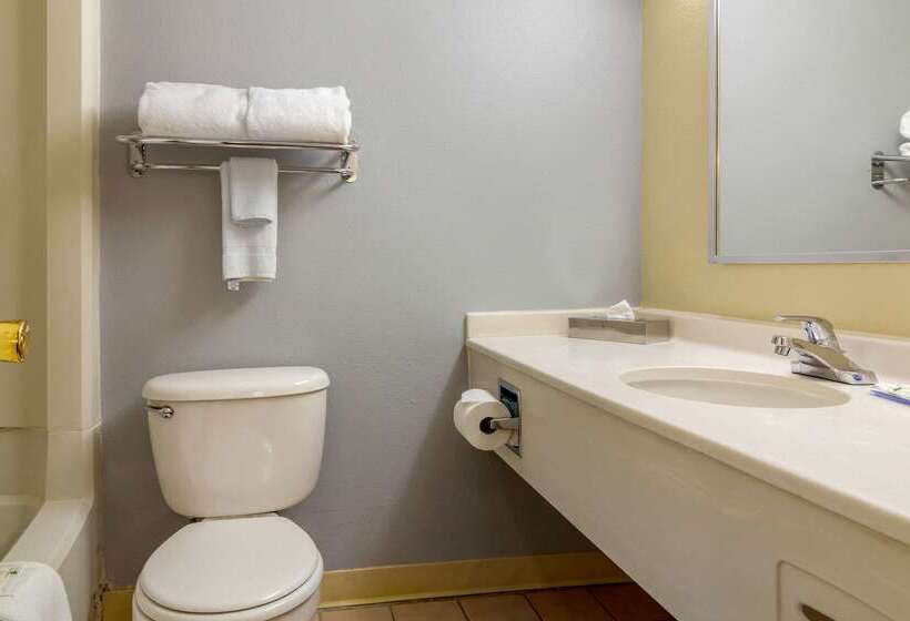 酒店 Budget Inn Denver Downtown